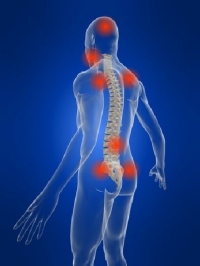 Craniomandibuläre Dysfunktion-CMD.
